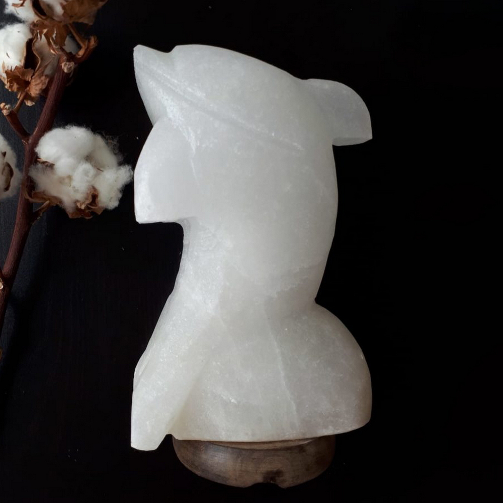 Foto principale Lampada di Sale Himalayano Bianca scolpita a forma di Delfino 3-4 kg con luce calda e base in legno