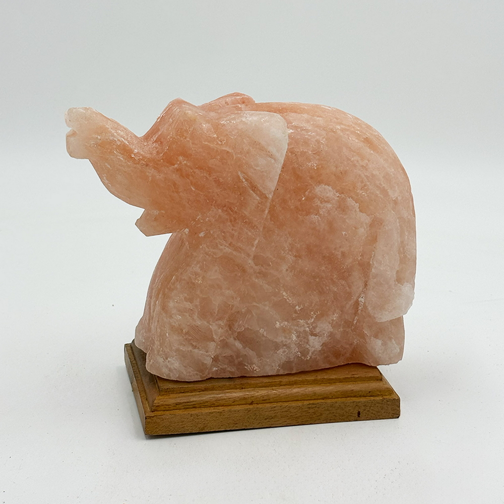 Lampada di Sale Himalayano Rosa scolpita a forma di Elefante 3-4 kg con luce calda e base in legno - Foto 1