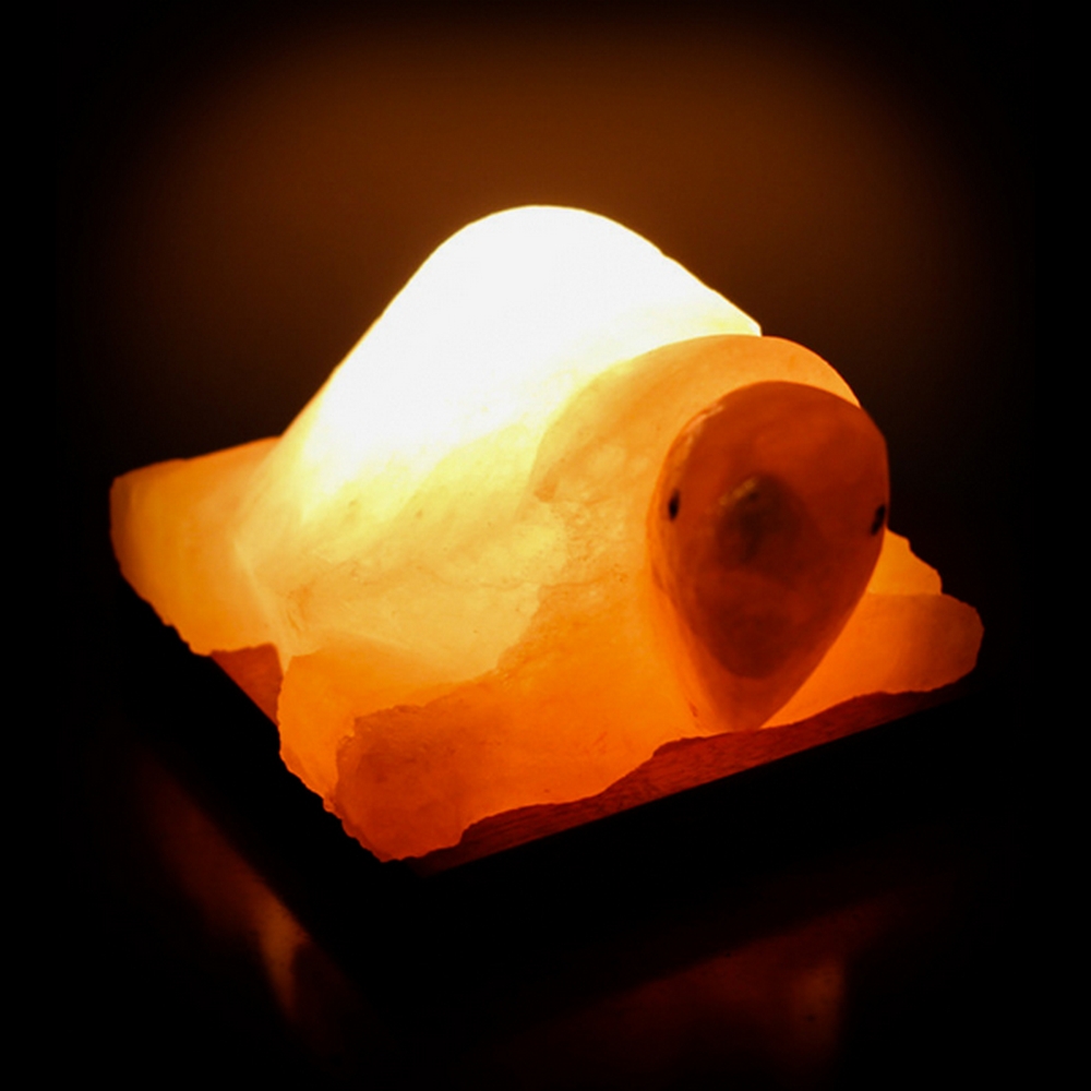 Foto principale Lampada di Sale Himalayano Rosa scolpita a forma di Tartaruga 3-4 kg con luce calda e base in legno