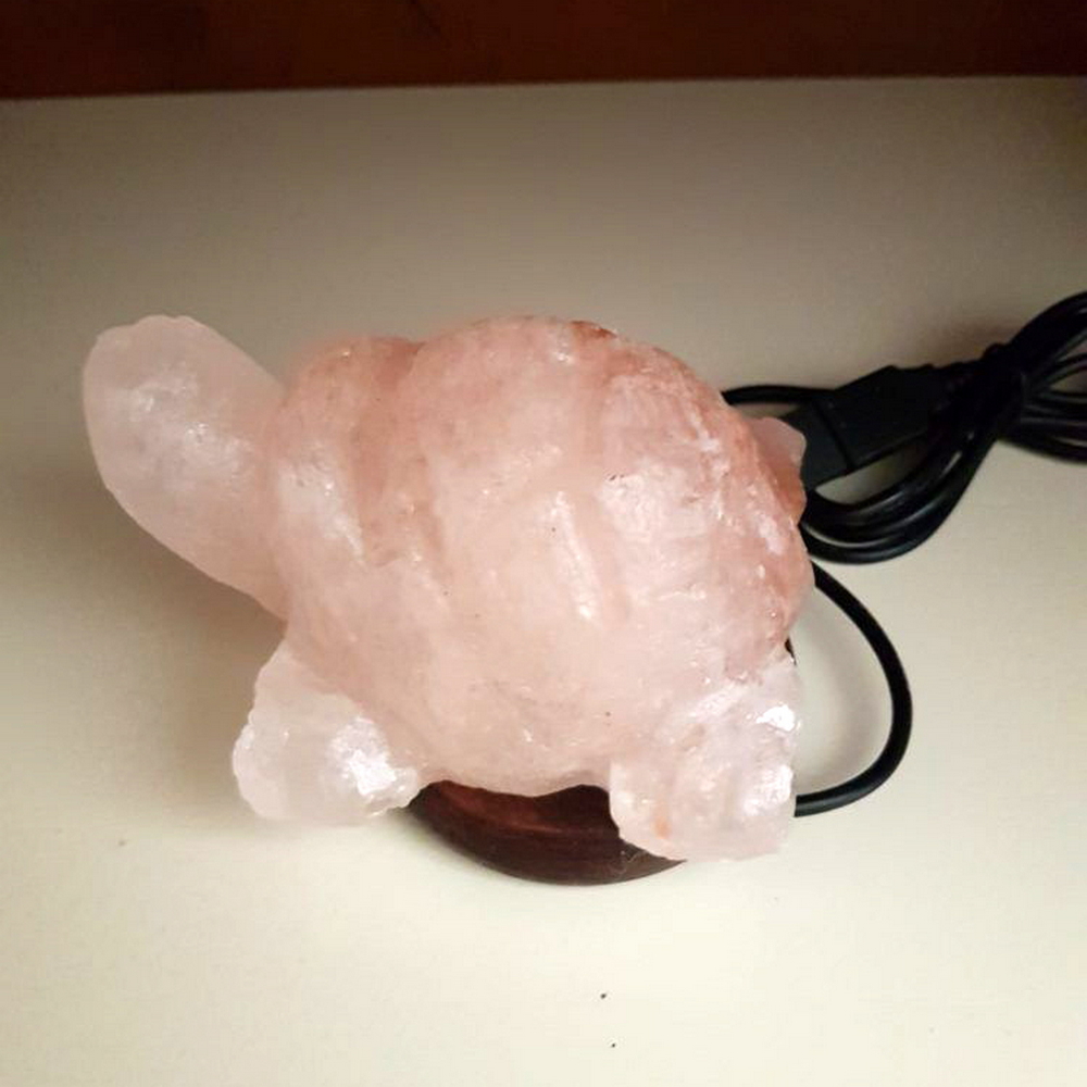 Foto principale Lampada di Sale Himalayano USB Rosa scolpita a forma di Tartaruga 600 g con luce Led RGB e base in legno
