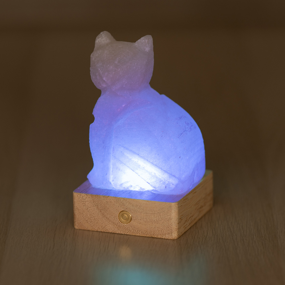 Lampada di Sale Himalayano Libera a batteria Rosa scolpita a forma di Gatto 600 g con luce Led RGB e base quadrata - Foto 2