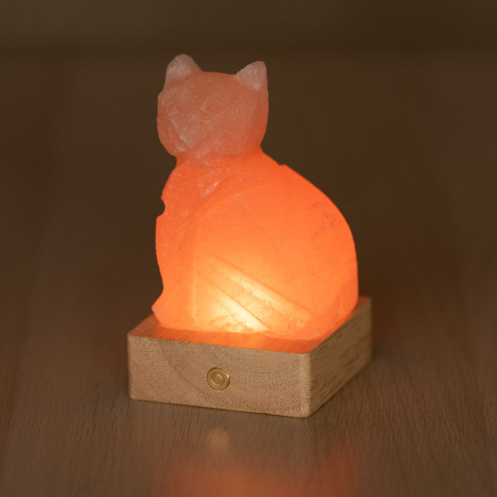 Lampada di Sale Himalayano Libera a batteria Rosa scolpita a forma di Gatto 600 g con luce Led RGB e base quadrata - Foto 3
