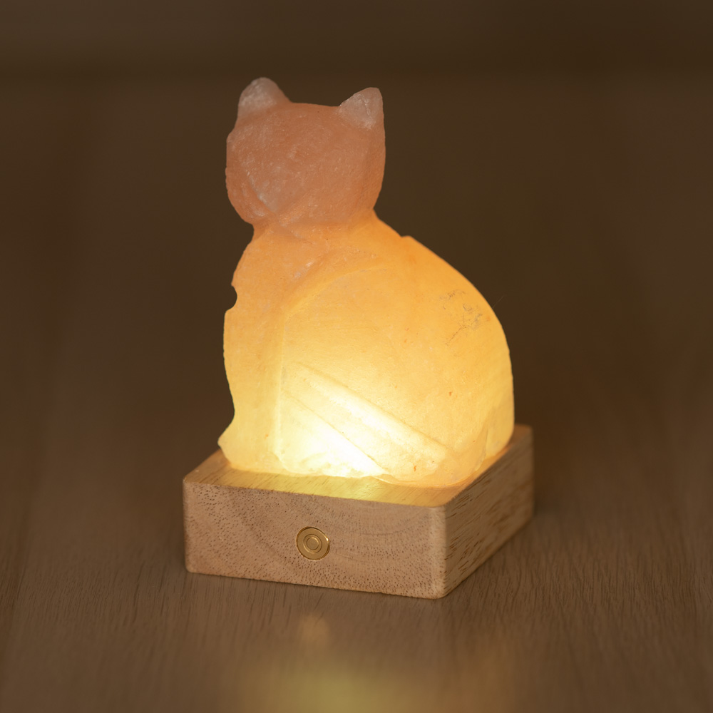 Foto principale Lampada di Sale Himalayano Libera a batteria Rosa scolpita a forma di Gatto 600 g con luce Led RGB e base quadrata